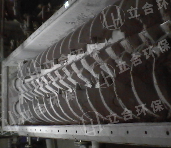 雙槳葉干燥機